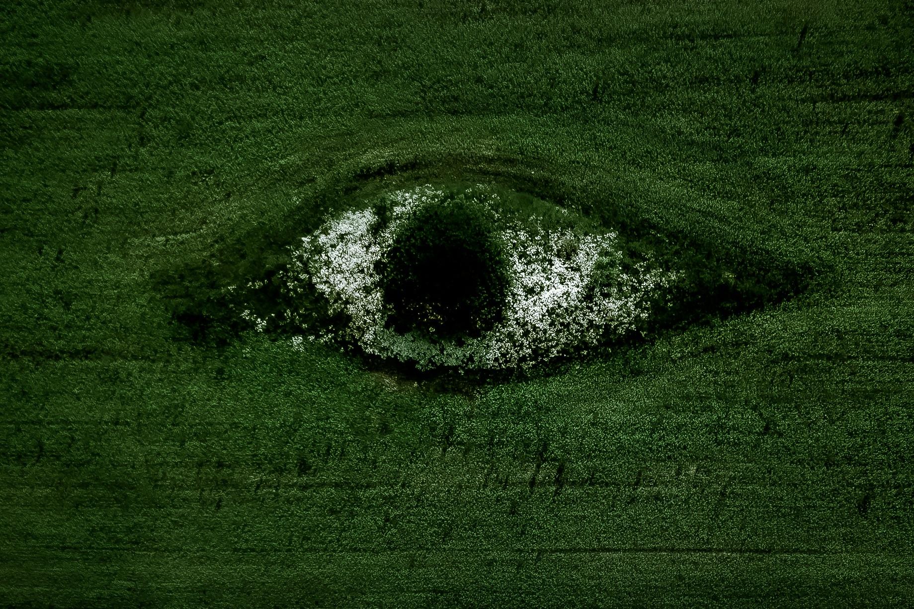 聚氨酯泡沫：從開(kāi)創(chuàng)性材料到閉環(huán)回收的現(xiàn)代挑戰(zhàn)